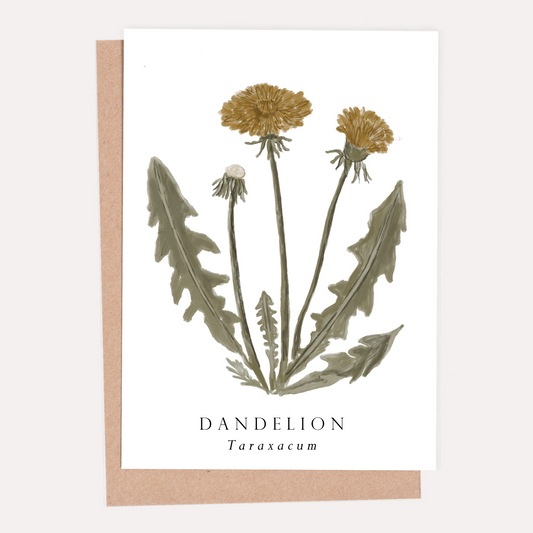 Dandelion Botanical Greeting Card