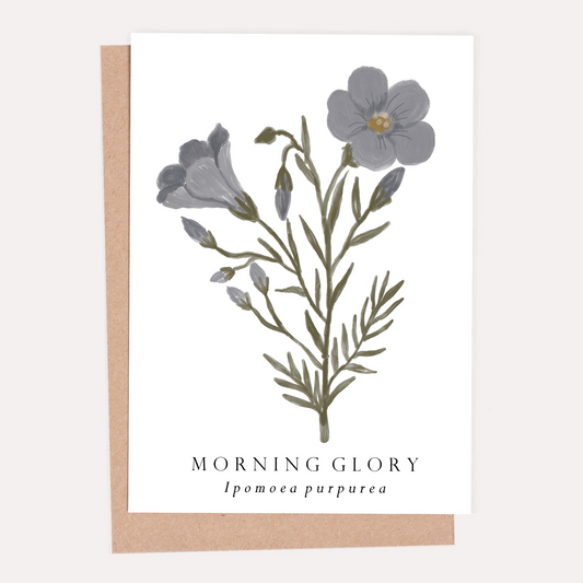 Morning Glory Botanical Greeting Card