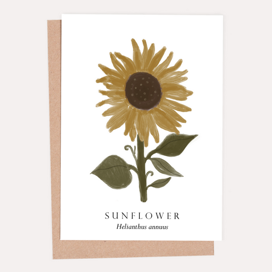 Sunflower Botanical Greeting Card